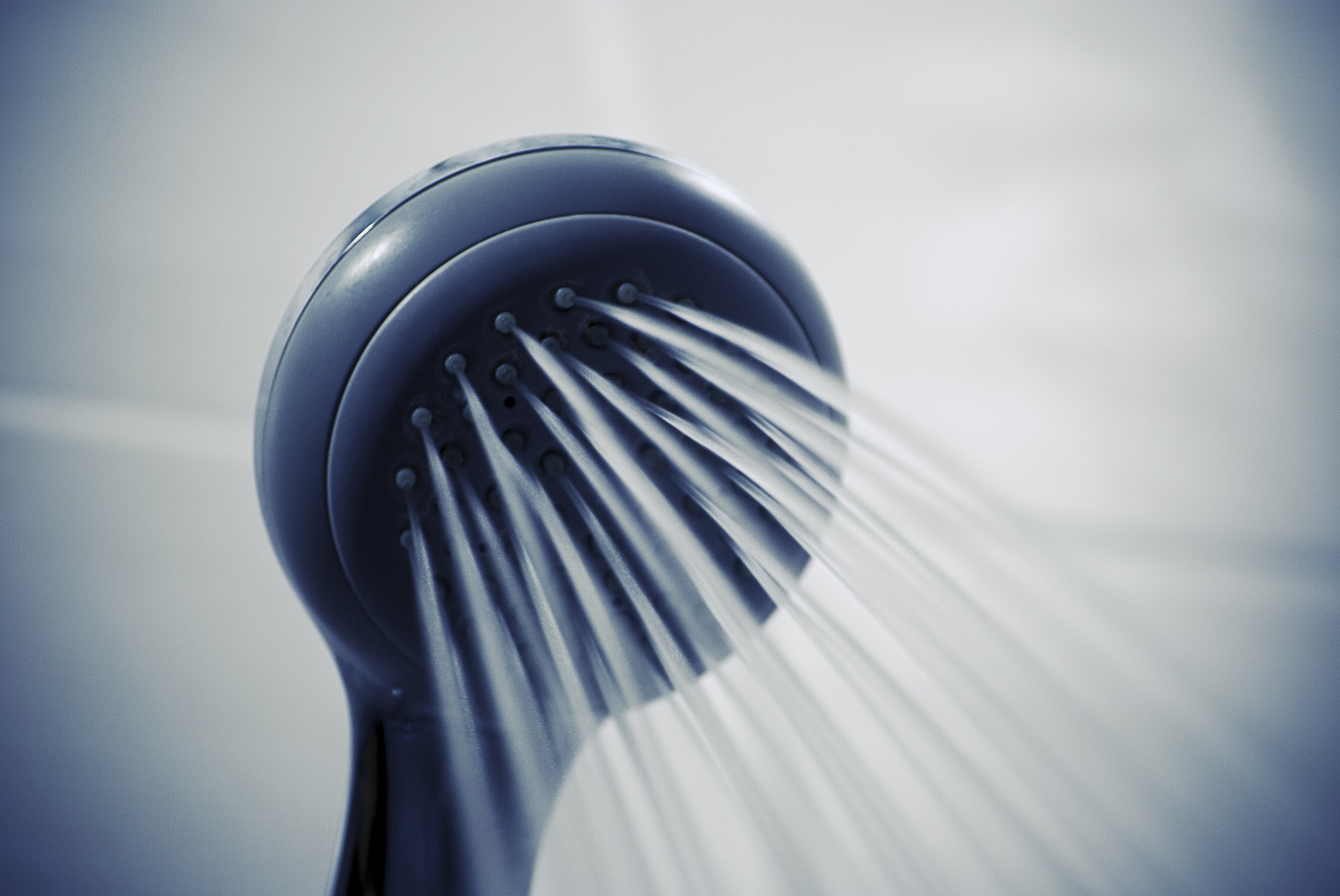Understanding the Roots of Your Plumbing Needs