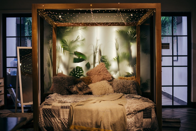 bed
