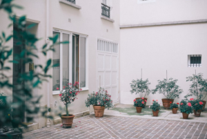garden window