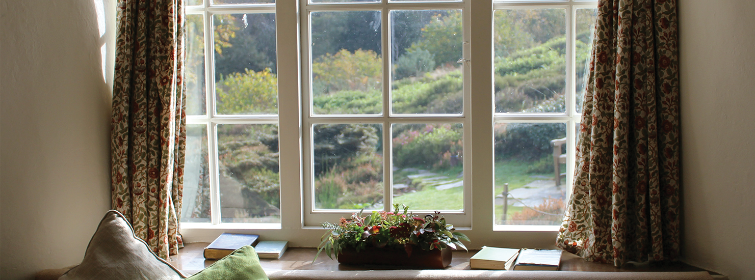 Window